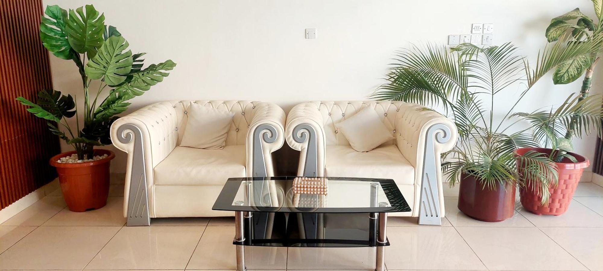 Pearl Island - جزيرة اللؤلؤ للشقق الفندقيه Apartment Al Buraimi